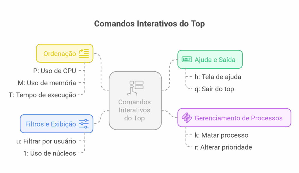 comando top opções