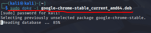 Instalando pacote do chrome no kali linux