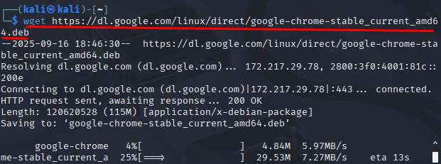 Baixando o pacote do google chorme no kali linux