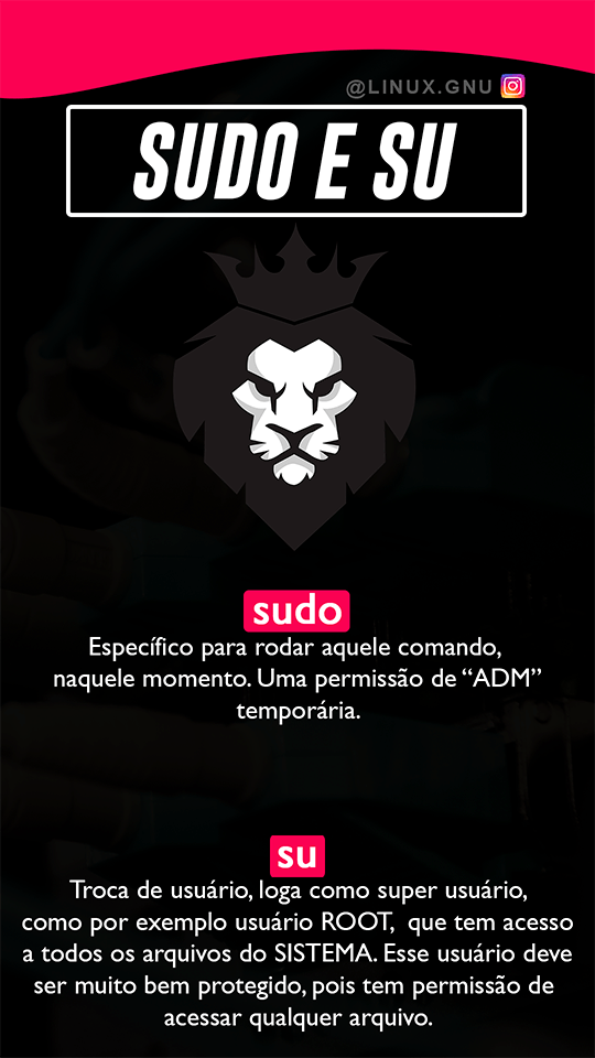 Sudo su: Entenda as Diferenças